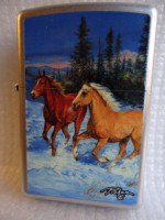 /album/galerie-de-photos-zippo-linda-picken/dsc02283-jpg/