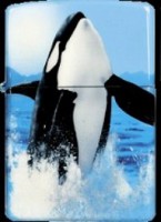 /album/galerie-de-photos-galerie-photos-mazzi/happiness-jpg/