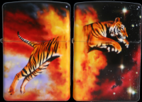 /album/galerie-de-photos-galerie-photos-mazzi/tigre-png/